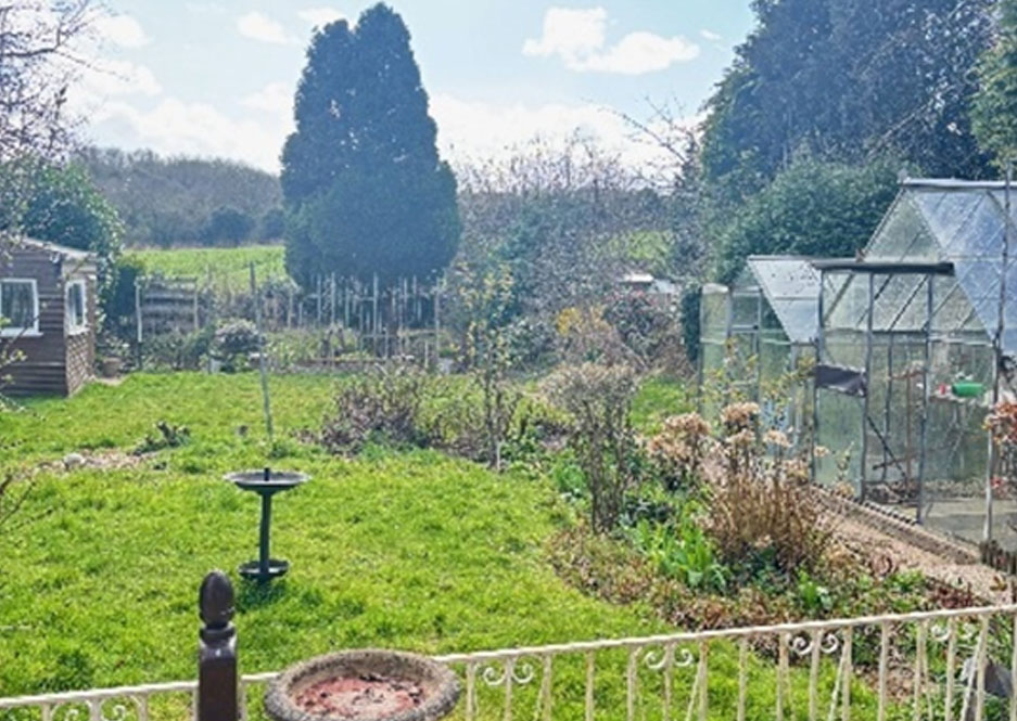 Meadows View